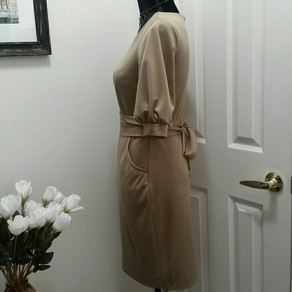 Tan Sheath Dress - Picture 3 of 4